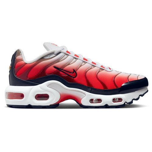 Nike Air Max Plus GS